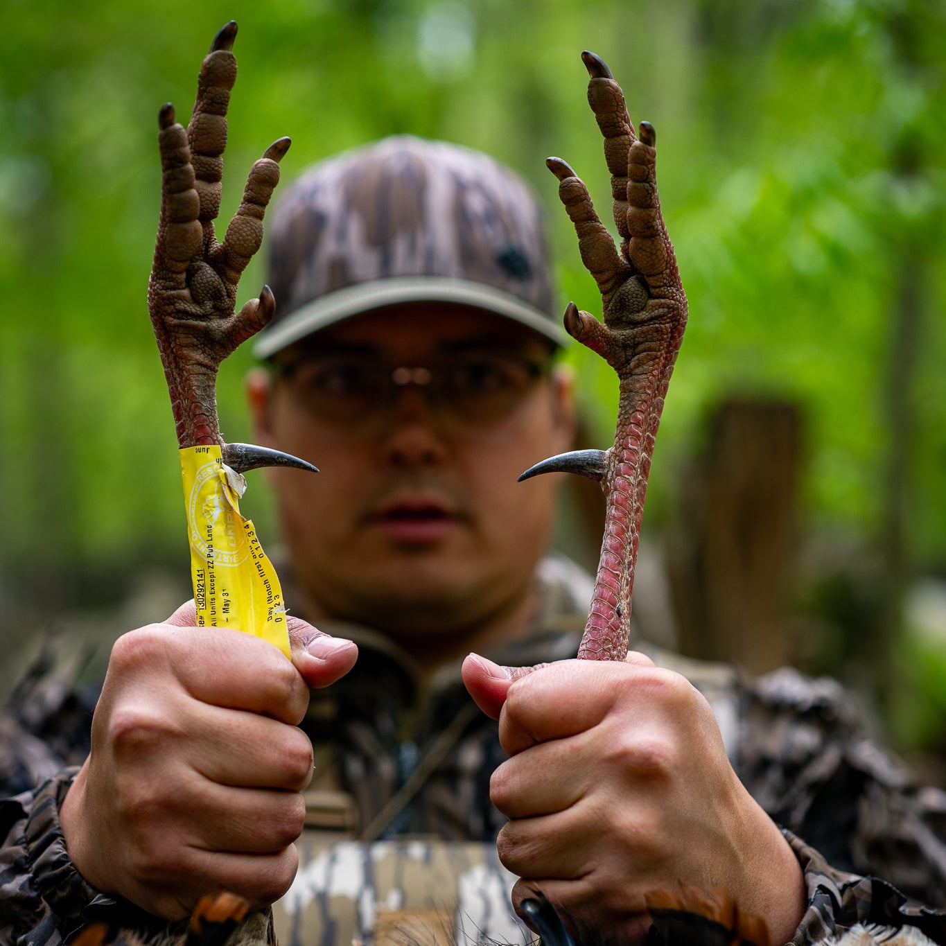 Ridge: Mossy Oak Original Bottomland
